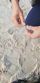 Aggancio gamberetti esca sul gancio aste sistema più vicino baltico il mare 