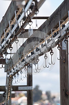 hooks in the docks for unloading large fish