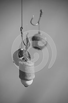 Hooks with fishing bait, chumming. Fishing, angling, catching fish, chum. Fishhooks on line on blurred background. photo