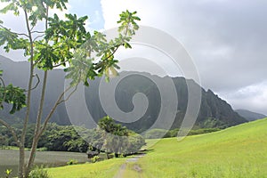 Hoomaluhia Botanical Gardens