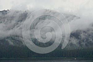 Hoonah, Alaska: Clouds and mist sweep across a dense forest of pine trees