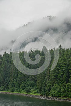 Hoonah, Alaska: Clouds and mist sweep across a dense forest of pine trees photo