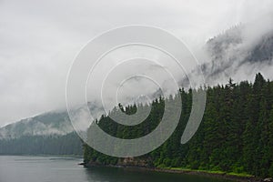 Hoonah, Alaska: A lone pine tree leans out over the water on the edge of a cliff photo