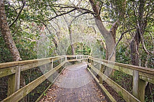 Hoop Pole Creek Trail Boardwalk Atlantic Beach NC