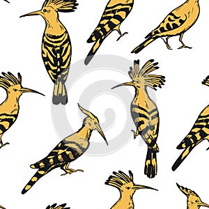 Hoopoe birds. Vector pattern