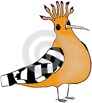 Hoopoe cartoon