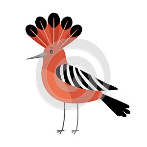 Hoopoe cartoon bird icon