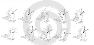 Hoopoe family, colouring book page uncolored