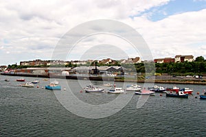 Colourful boats on swinging moorings in Newcastle photo