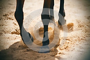 The hooves of a horse raise sand dust, which is illuminated by sunlight
