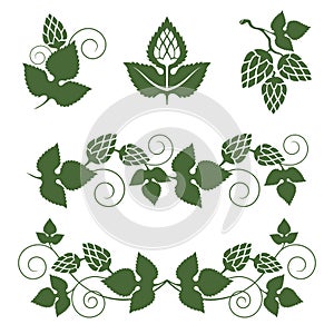 Hop borders and design elements