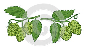 Hop branches. Leaves and cones. Beer theme design set