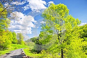 Hop brook dam state park in Naugatuck