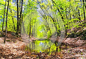 Hop brook dam state park in Naugatuck