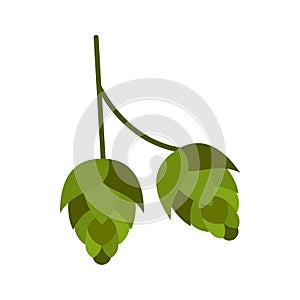 Hop cone icon, flat style