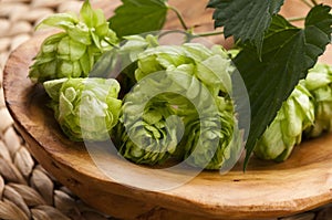 Hop cone and leaves