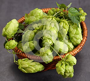 Hop cones