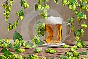 hop cones and glass of beer