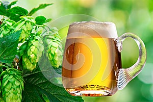 Hop cones with glass of beer photo