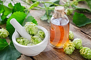 Hop cones in mortar and bottle of medicinal tincture