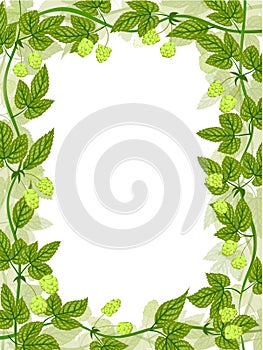 Hop frame pattern