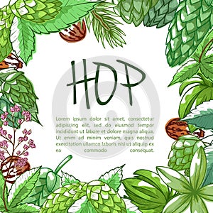 Hop plant frame banner with copy space photo