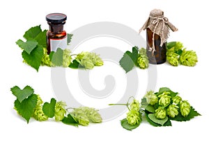 Hop plant and pharmaceutical bottles.