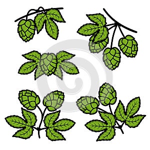Hop set. Collection icon hops. Vector