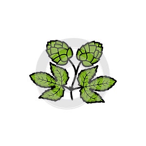 Hop set. Collection icon hops. Vector