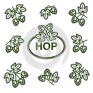 Hop set. Collection icon hops. Vector