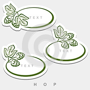 Hop set. Collection hop leaves frame. Vector
