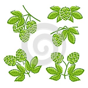 Hop set. Vector