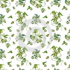 Hop vine, plant humulus watercolor seamless pattern isolated on white background. Hop on brunch with leaves, hop cones