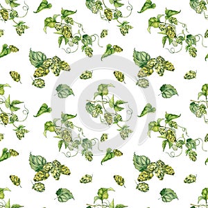 Hop vine, plant humulus watercolor seamless pattern isolated on white background. Hop on brunch with leaves, hop cones