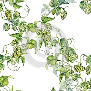 Hop vine, plant humulus watercolor seamless pattern isolated on white background. Hop on brunch with leaves, hop cones