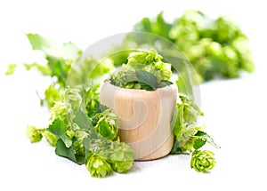 Hop in wooden bowl over white wooden table