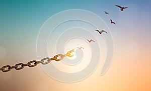 Silhouettes of broken chain and birds flying in sky