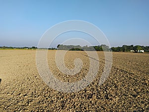 The hope of Farmer - Golden Soil in a field