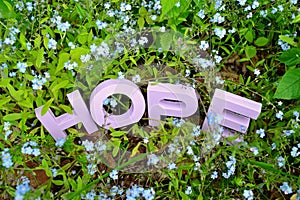 HOPE and Forget-Me-Nots