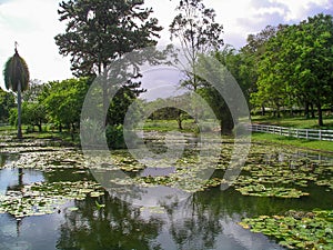 Hope Gardens, Kingston, Jamaica