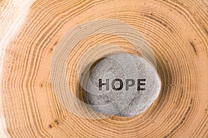 Hope in stone on tree photo