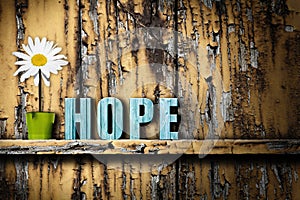 Hope text word vase with daisy on worn wooden background