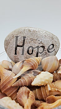 Hope written on stone with shells in brown color.