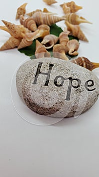 Hope written on stone and some shells at back.