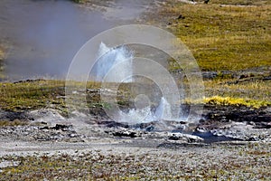 Hopeful Geyser at Yellowstone National Park.