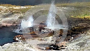 Hopeful geyser Yellowstone National Park