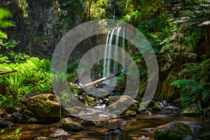 Hopetoun Falls across the Aire River in Victoria, Australia