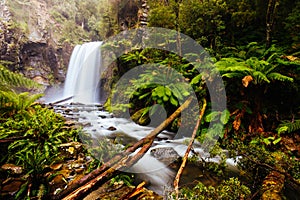 Hopetoun Falls Cape Otway in Victoria Australia