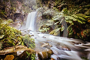Hopetoun Falls Cape Otway in Victoria Australia