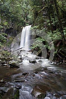 Hopetoun Falls, Great Otway National Park